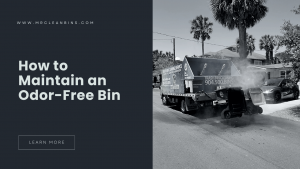How to Maintain an Odor-Free Bin